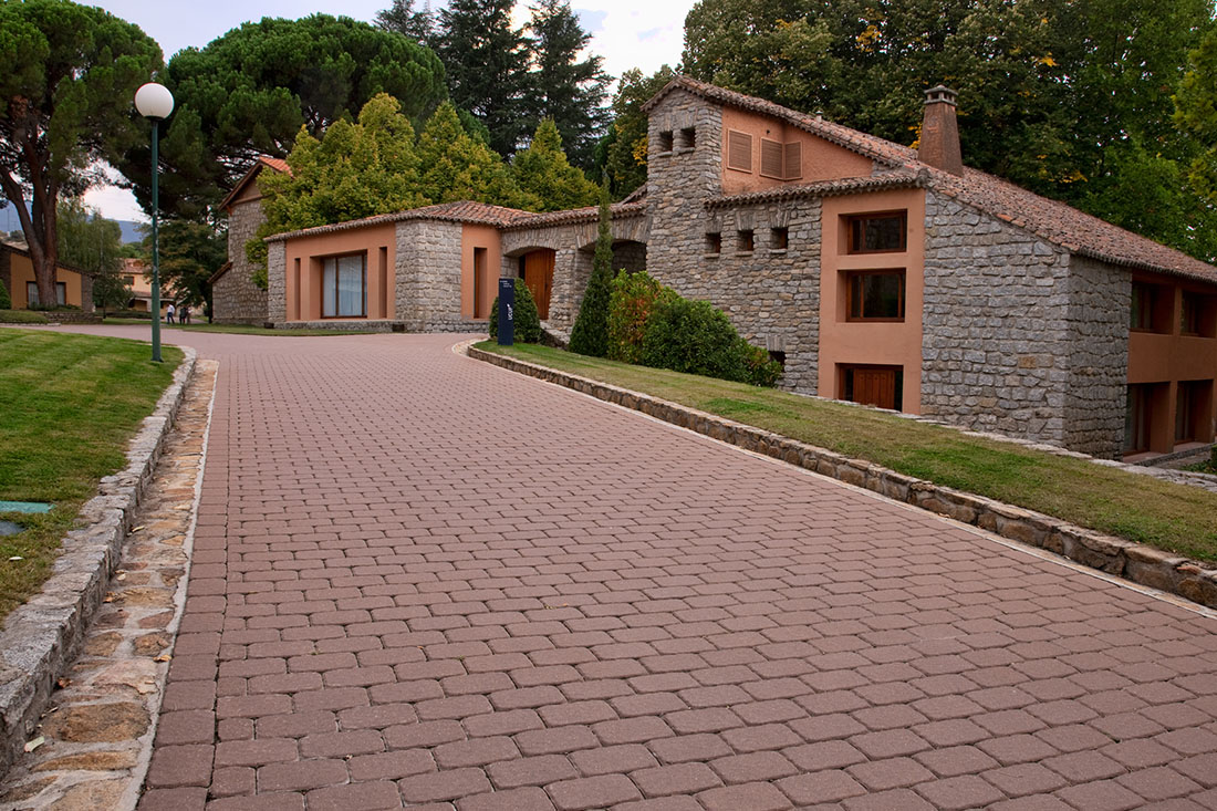 JPG CEBREROS (1)