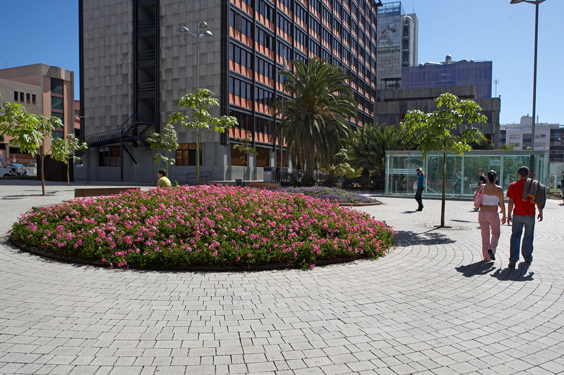 JPG LAS PALMAS DE GRAN CANARIA (19)