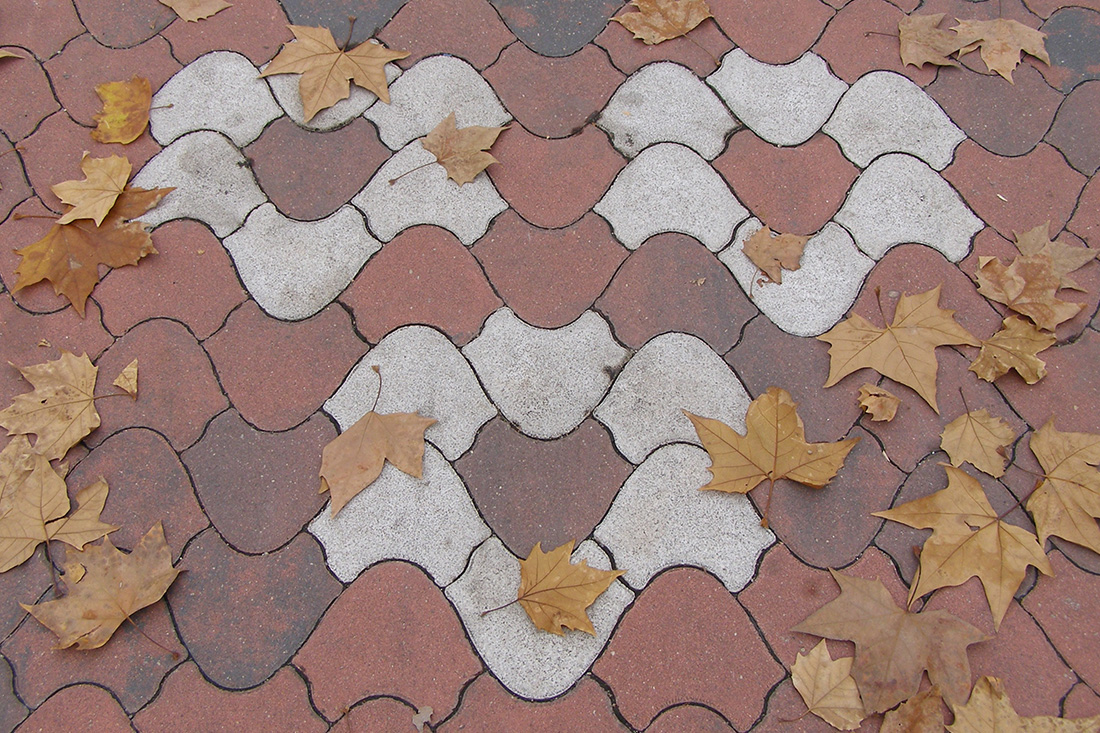 TULIPE TRES CANTOS AÑO 05 Nº04